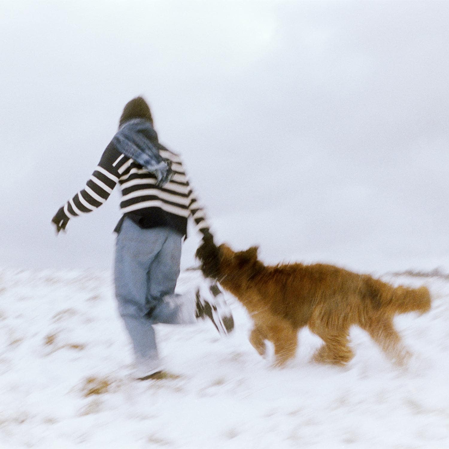 Hundägare leker med sin hund utomhus.