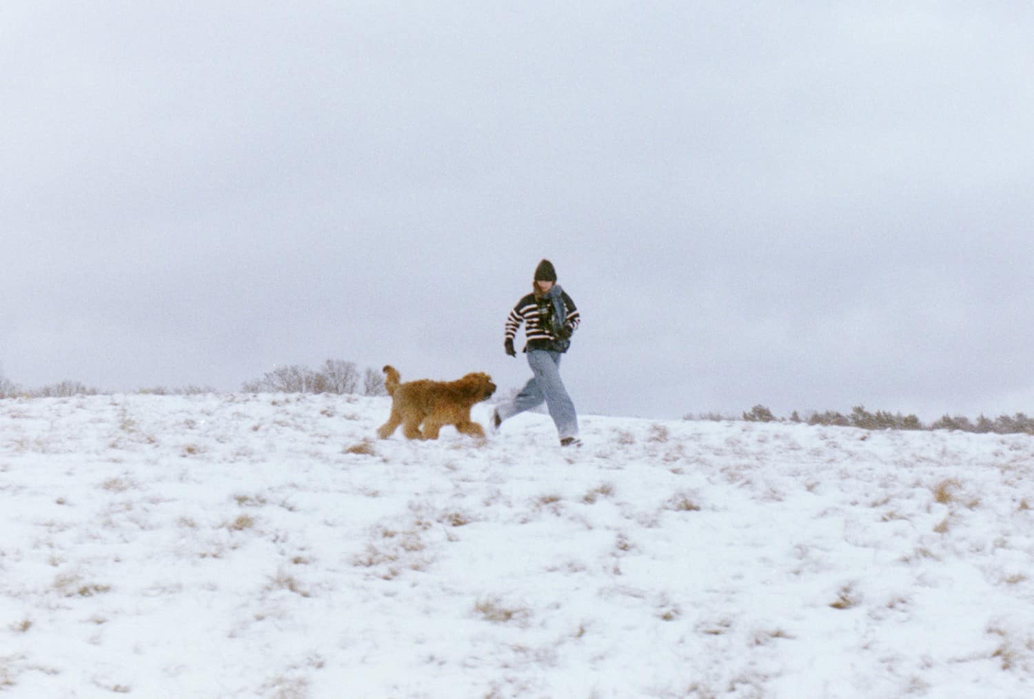 Husse springer med hund i snön, efter valpens första tid.