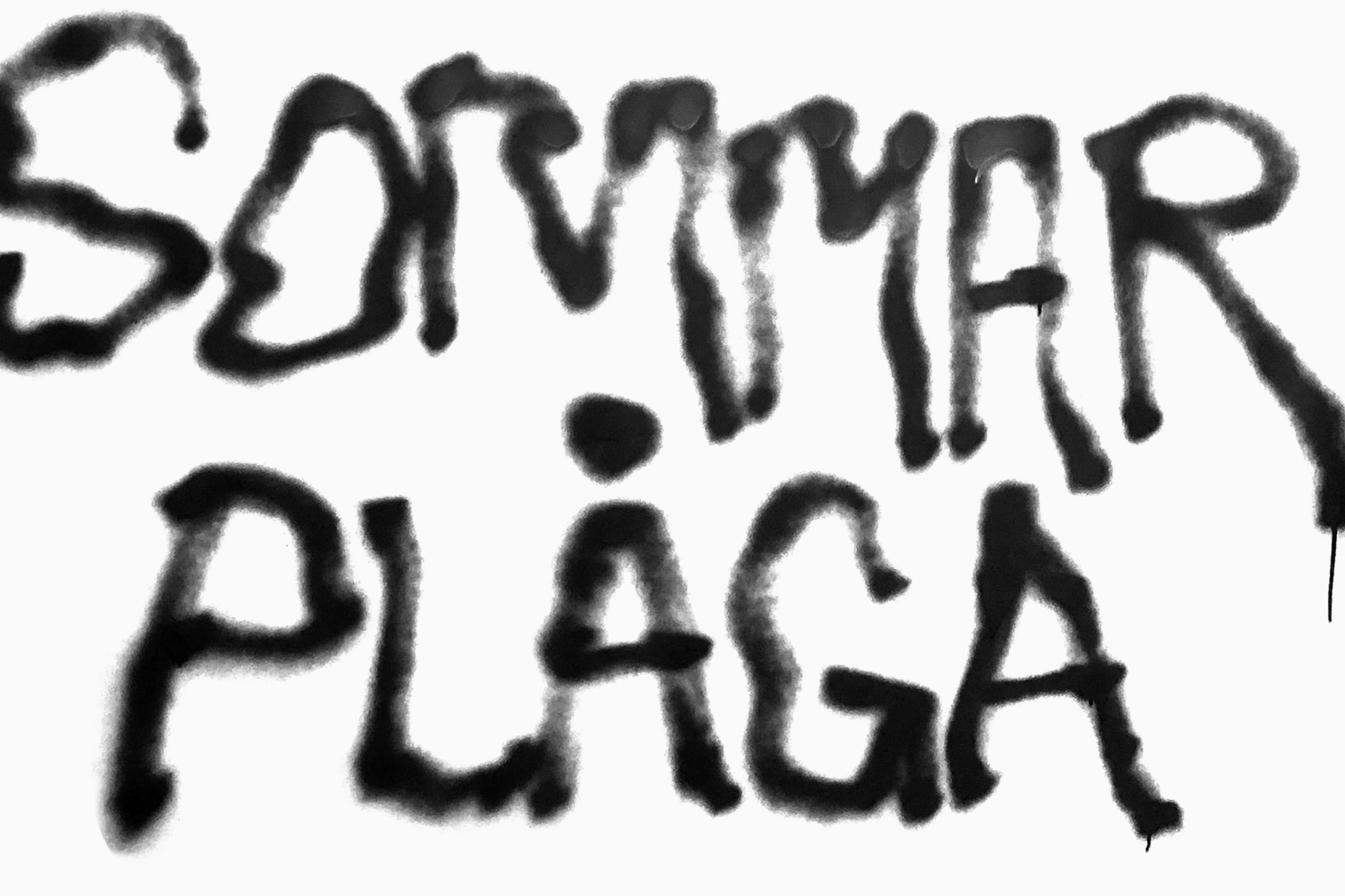 Texten SOMMARPLÅGA spraymålad.