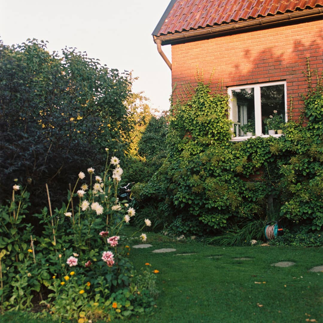 Lummig trädgård bakom en villa