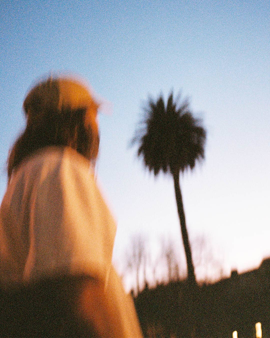 Kille på resa tittar upp mot en palm i oskärpa