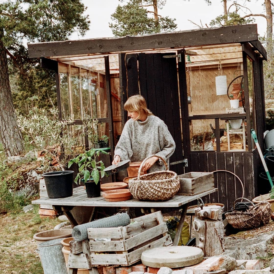 En person som fixar med krukor och växter framför ett uthus.