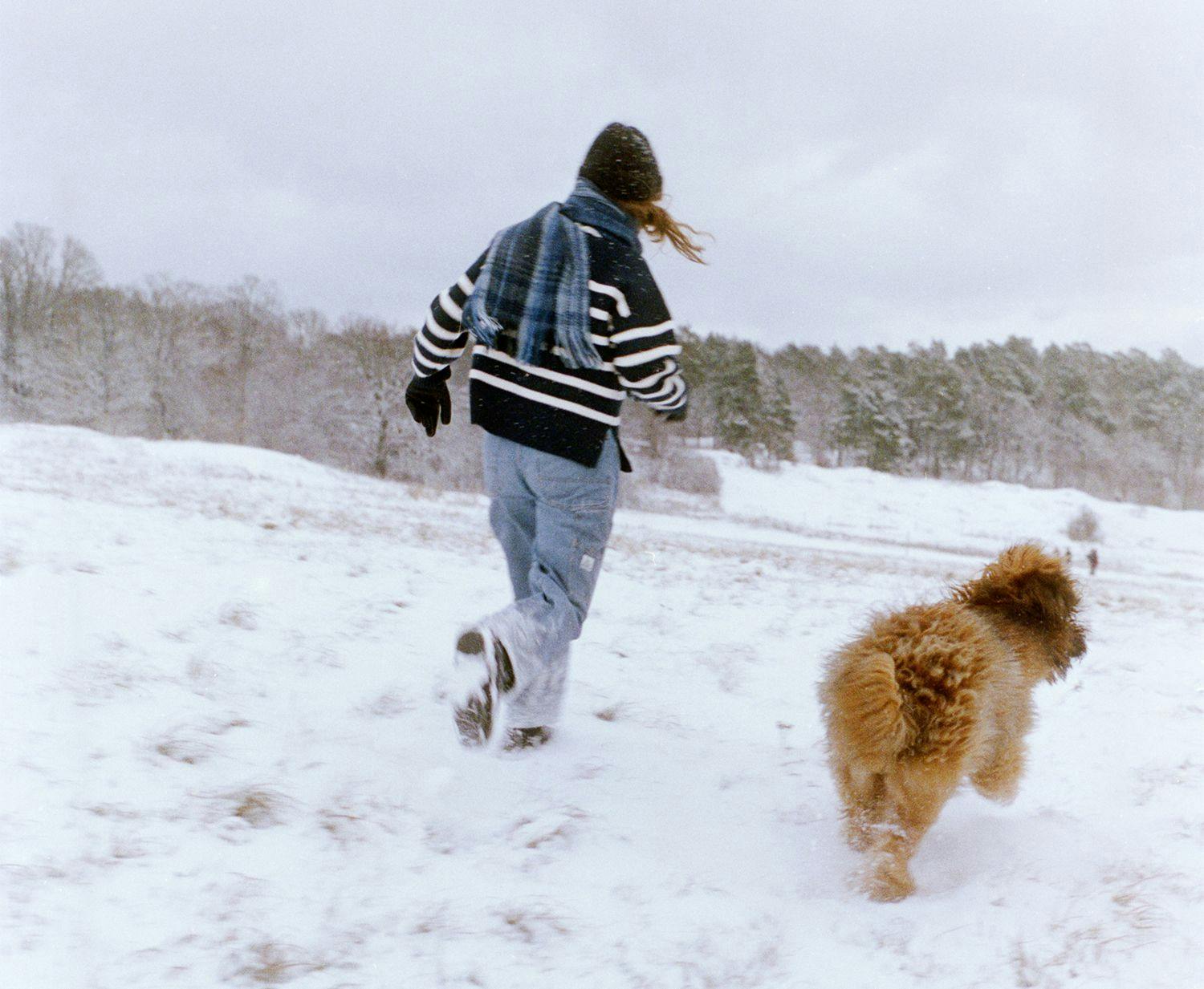 Hundägare springer med sin utvalda hundras på snötäckt åker.